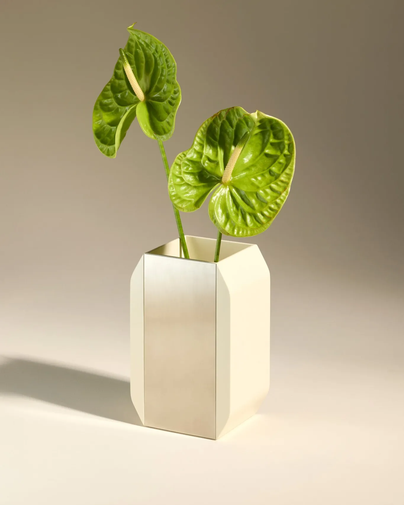 Vase Oscar - Vases